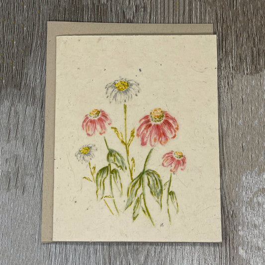 Gerbera Daisies. Plantable Card. Wildflower Seed Paper