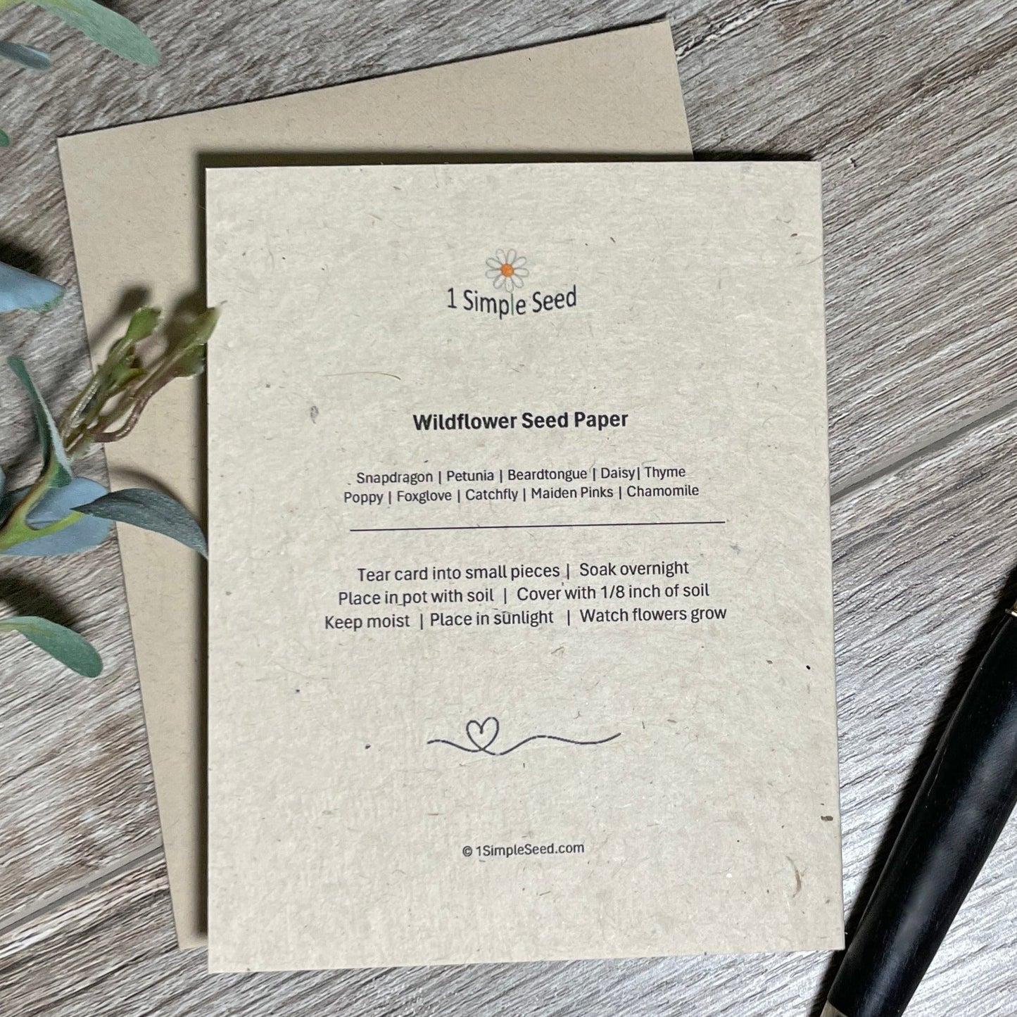 Congratulations | Truck | Hand Drawn | Plantable Card | Wildflower Seed Paper