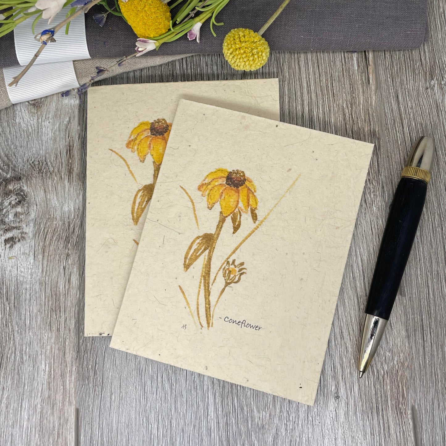 Coneflower | Hand Drawn | Plantable Seed Paper