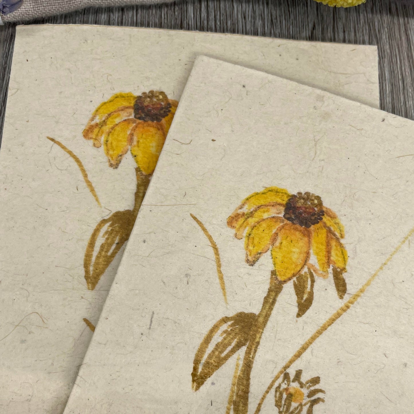 Coneflower | Hand Drawn | Plantable Seed Paper