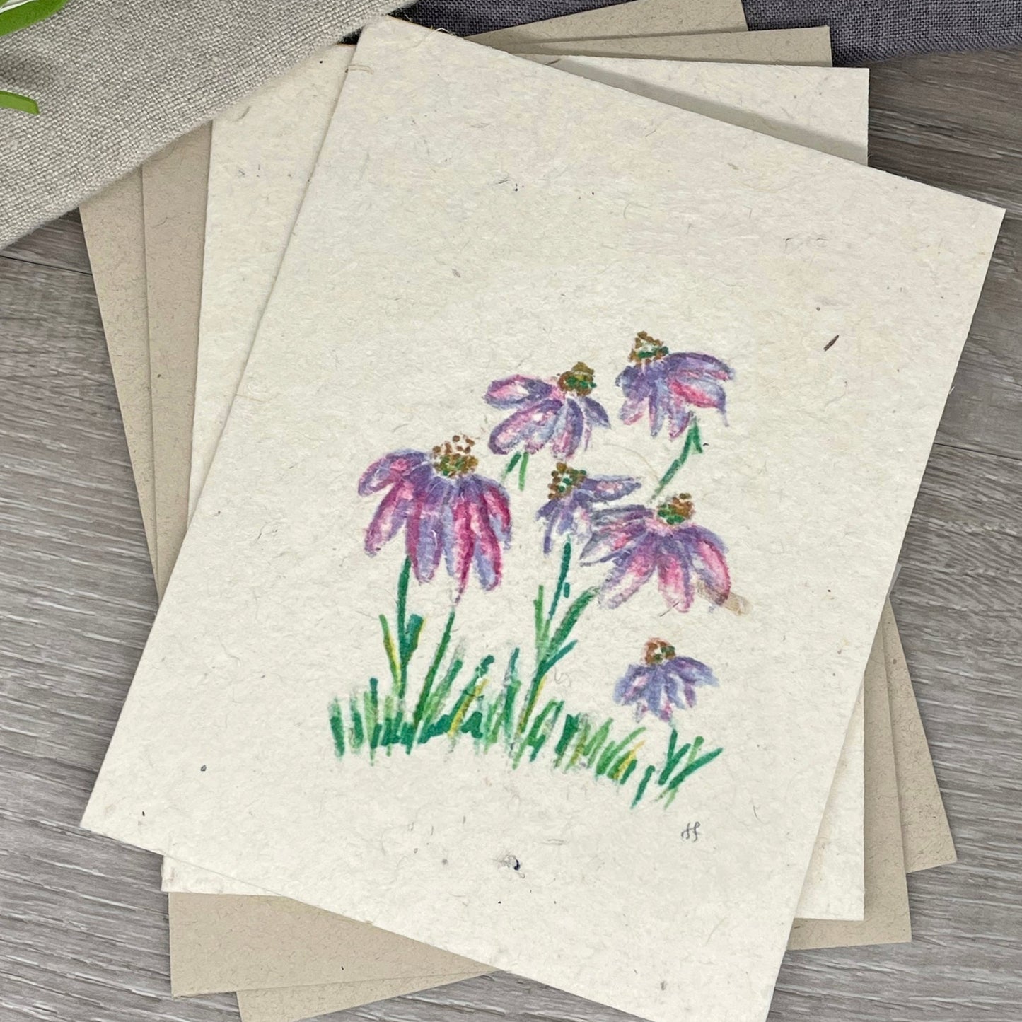 Echinacea Field | Hand Drawn | Plantable Card | Wildflower Seed Paper