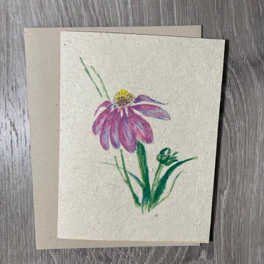 wildflower seed paper. Plantable cards. Wildflower seed paper.  Bridal shower. baby shower. wedding invitation. florist. hand drawn. Watercolor. Echinacea. 