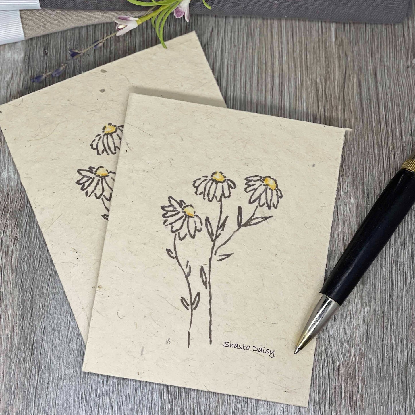 Wildflower Seed Paper. Plantable Card. Daisies. Shasta daisy. Bridal Sower. Wedding.