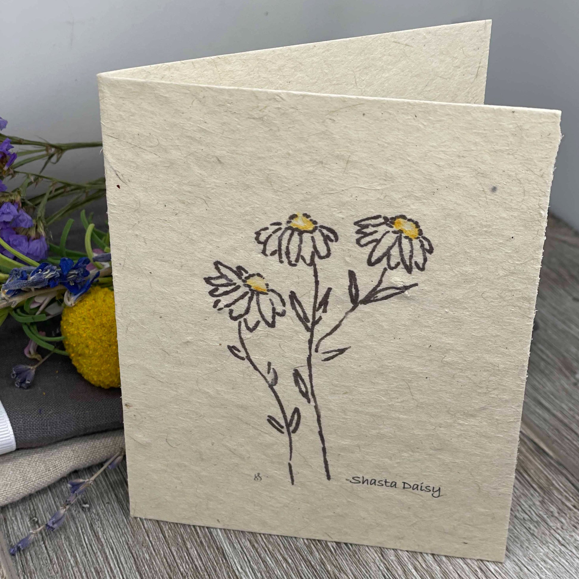 Wildflower Seed Paper. Plantable Card. Daisies. Shasta daisy. Bridal Sower. Wedding.