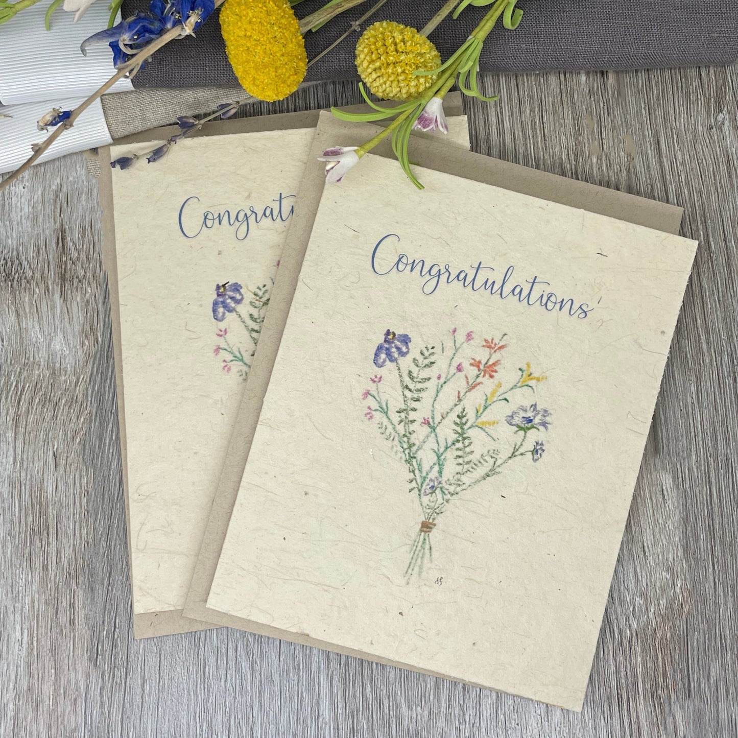 congratulations greeting card. blank card. wildflower seed paper. plantable card. gift for friend. hand drawn. watercolor art. cards