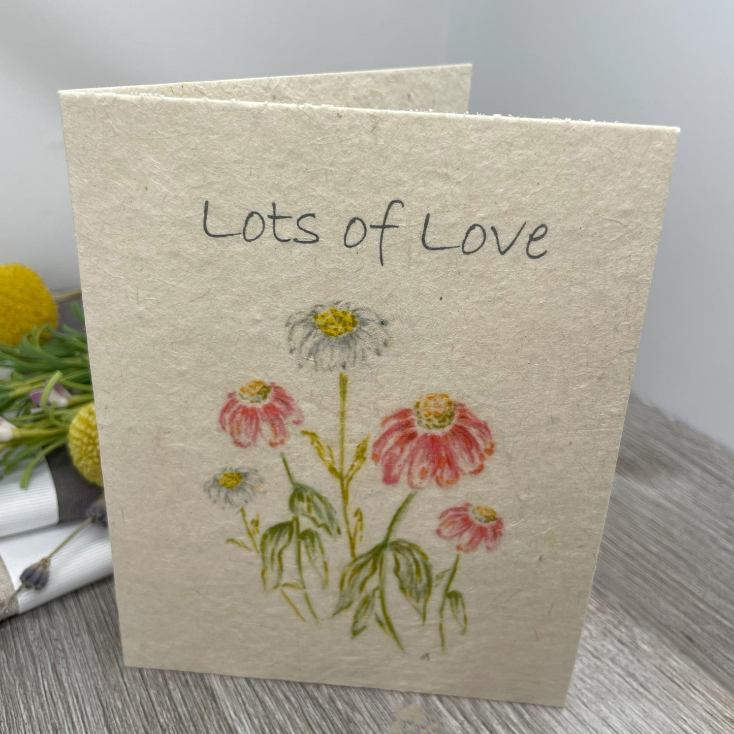 gerbera daisies. Lots of Love card.  Plantable Seed Paper Card. Wildflower Seed Paper.  Friendship card.  Love Card. 